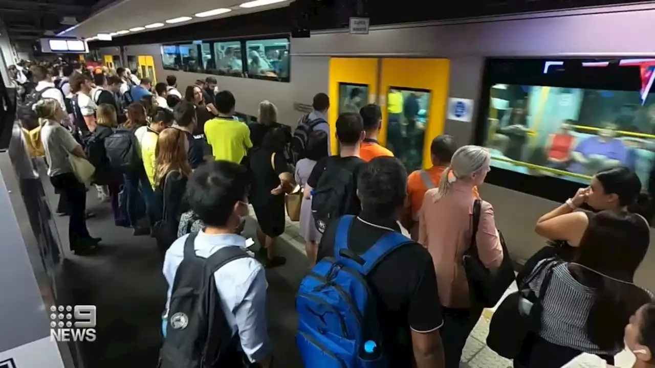 Trains running again but massive backlog of commuters spilling across public transport network