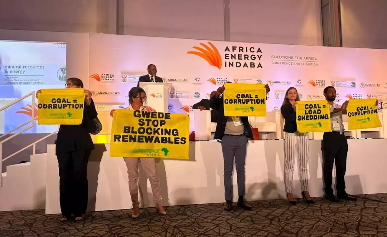 South Africa: Greenpeace Africa Activists Disrupt Mantashe's Address at Africa Energy Indaba