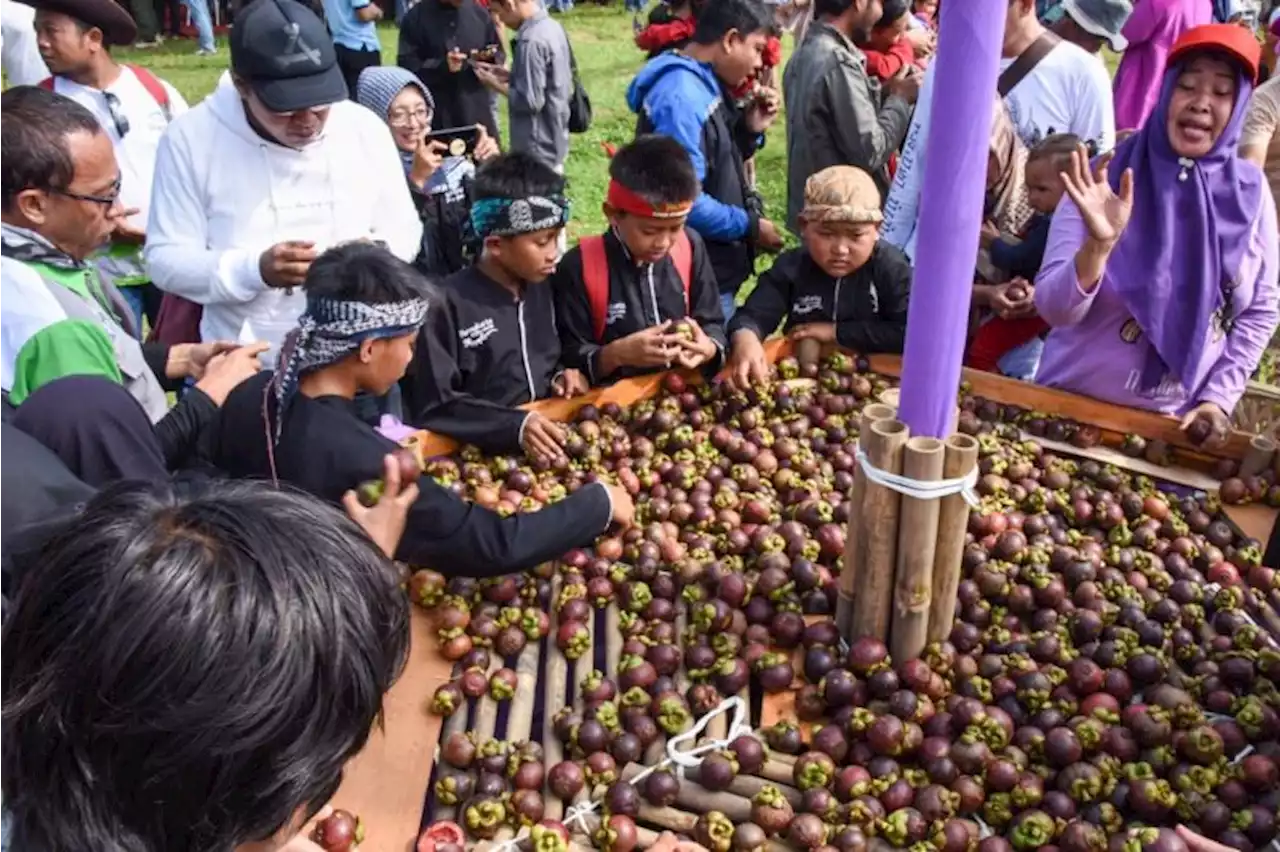 Bupati Purwakarta klaim manggis Wanayasa varian terbaik