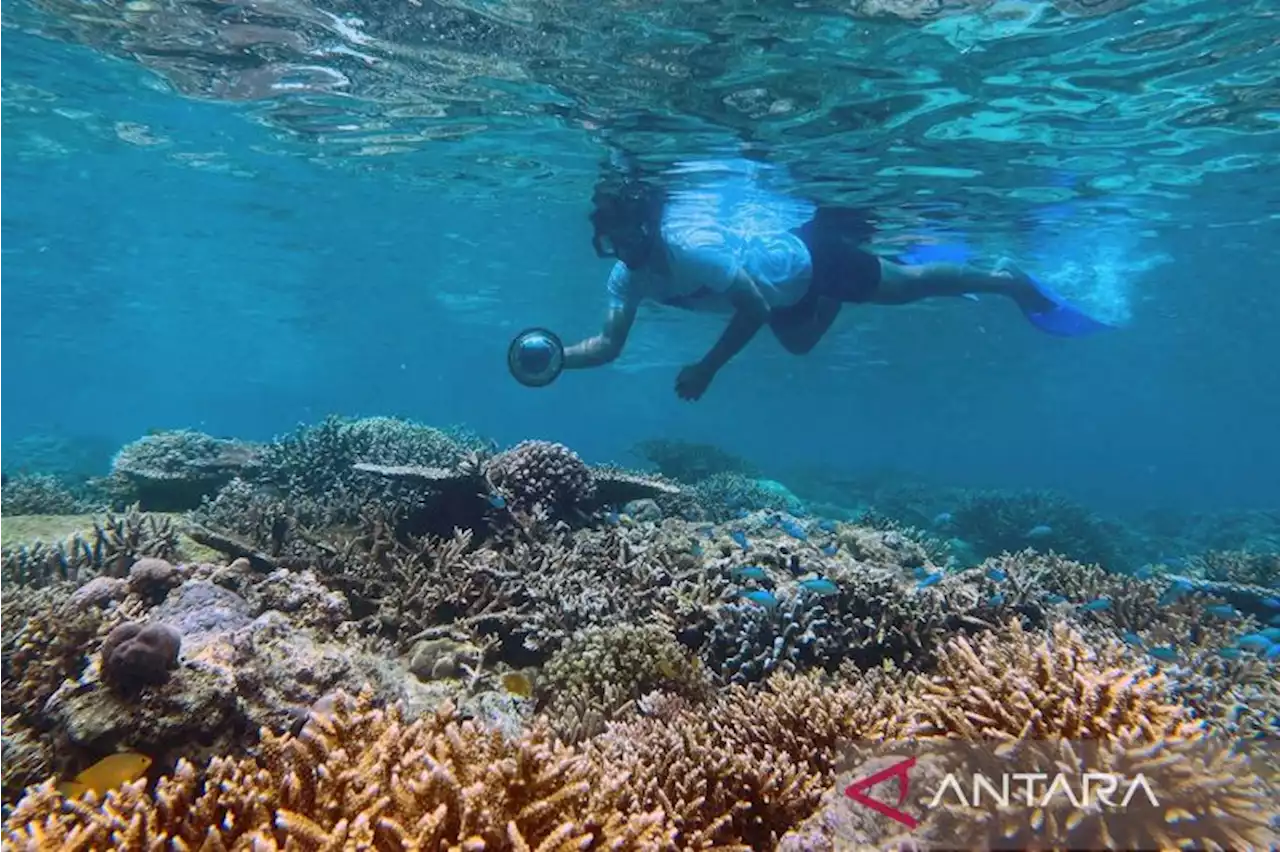 Tempat wisata bahari Filipina terpuruk akibat tumpahan minyak