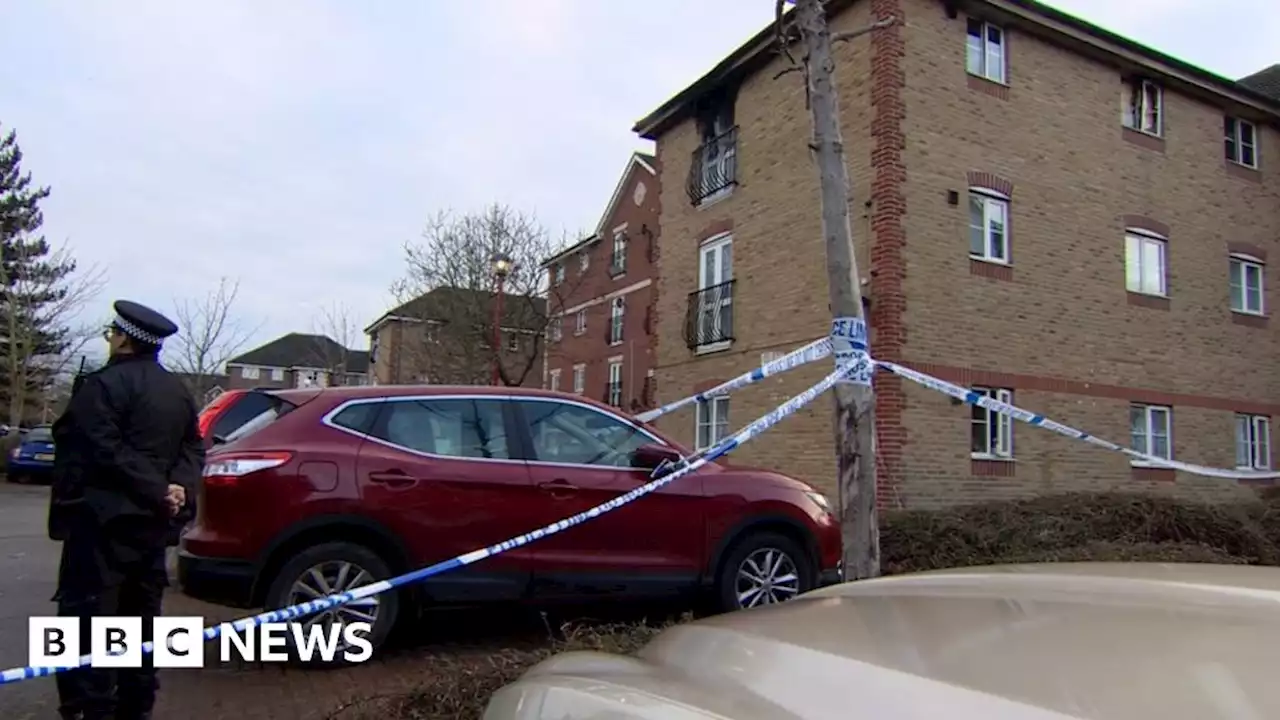 Eleven-year-old boy dies in east London flat fire