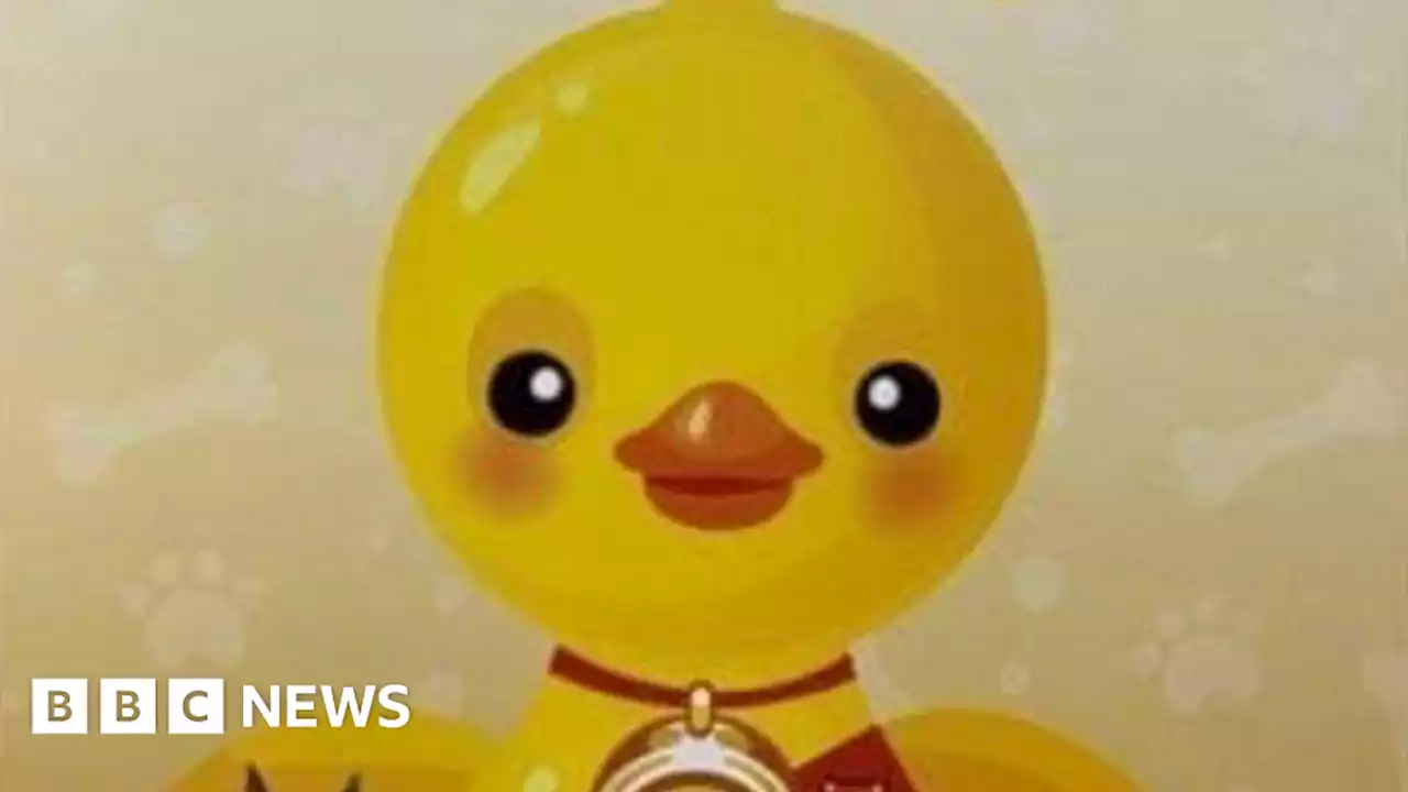 Thai man jailed for insulting king over duck calendar