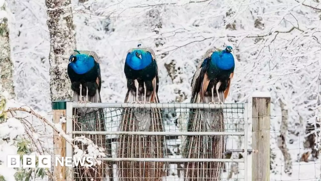 UK records coldest March night since 2010