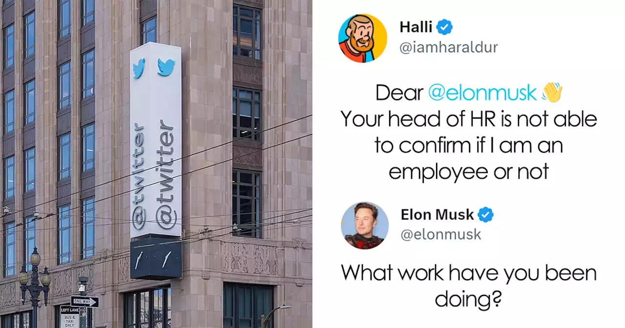 Twitter Employee Tweets Elon Musk To Find Out If He Still Has A Job, Elon Proceeds To Publicly Belittle Him And Mock His Disability