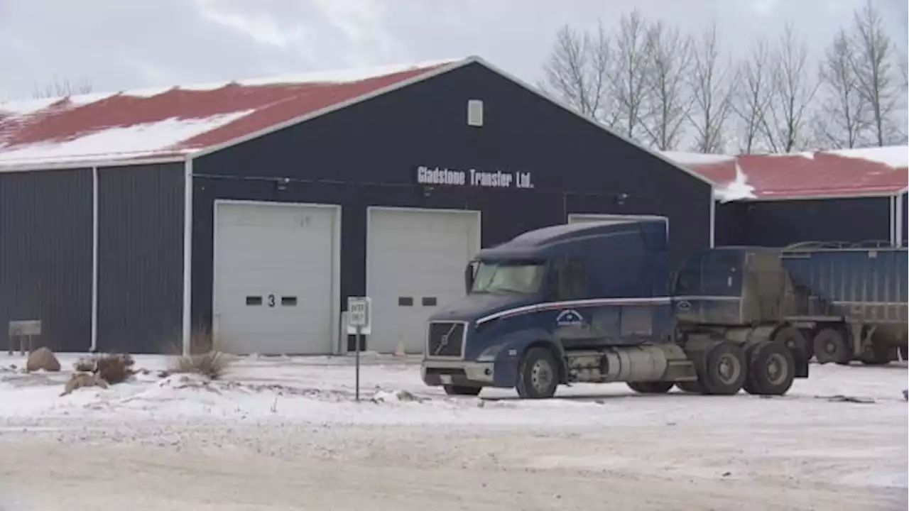 Foreign workers file human rights complaint against Manitoba trucking company | CBC News