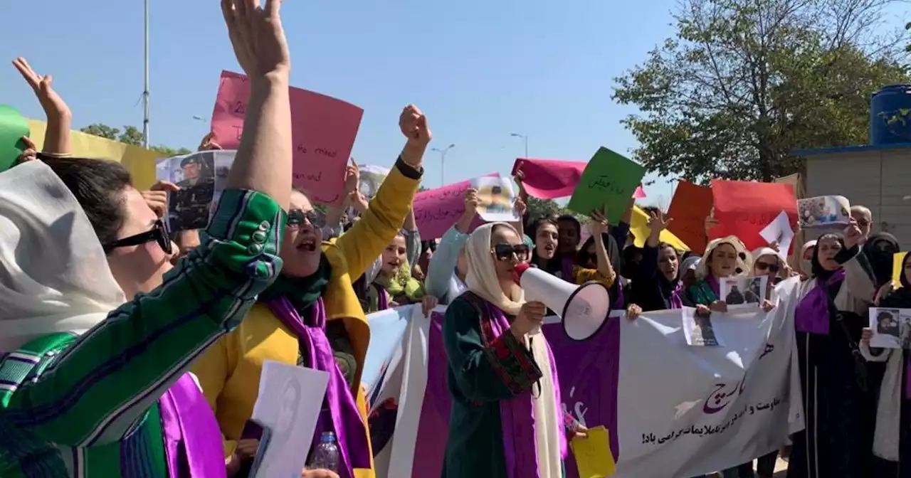 On International Women's Day, Afghan women blast the Taliban and say the world has 'neglected us completely'