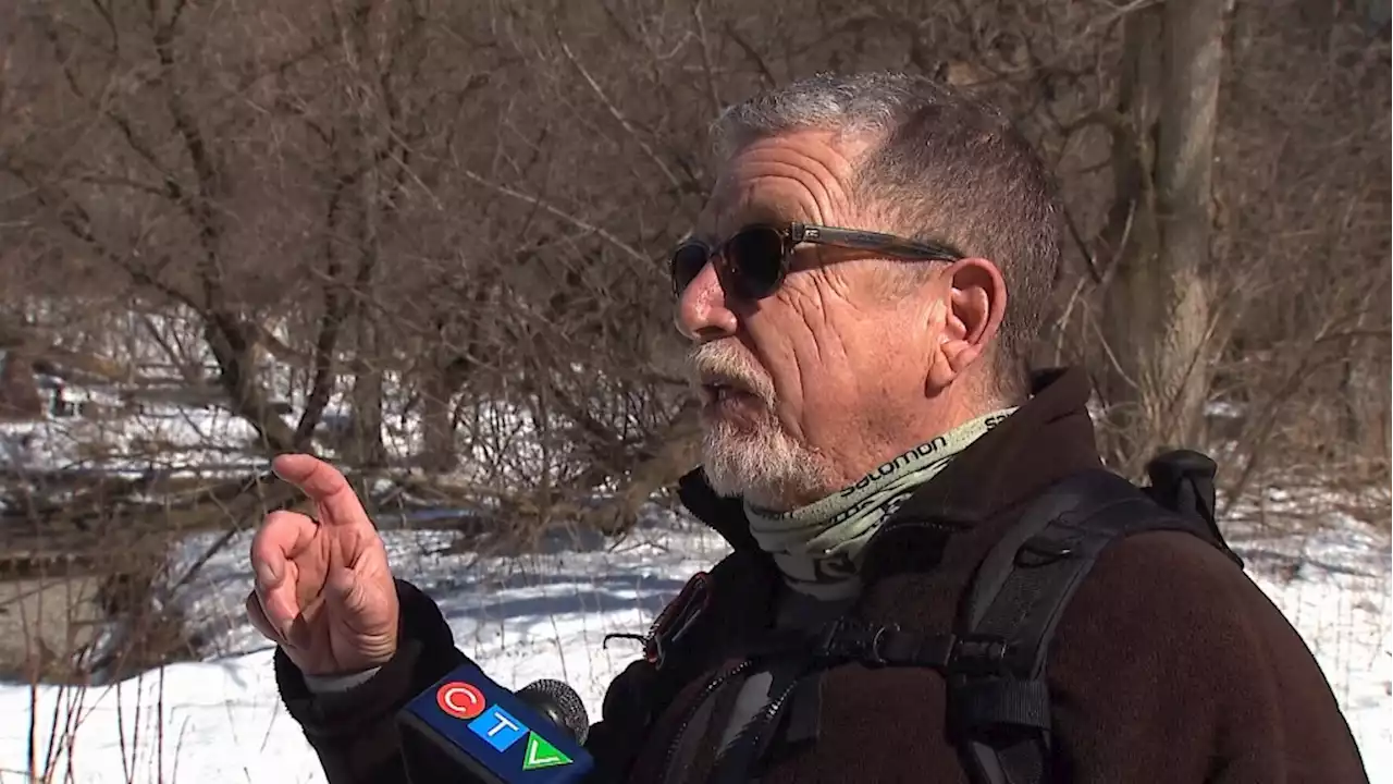 Environmental groups shocked after Metrolinx announces plan to chop 2,800 trees in the Don Valley