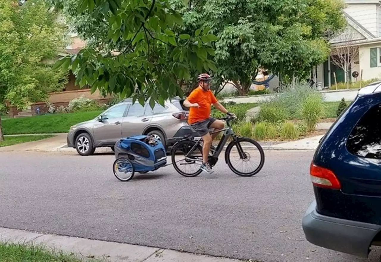 His E-Bike Was Stolen Twice, but Dave Wolf Is Still on a Roll