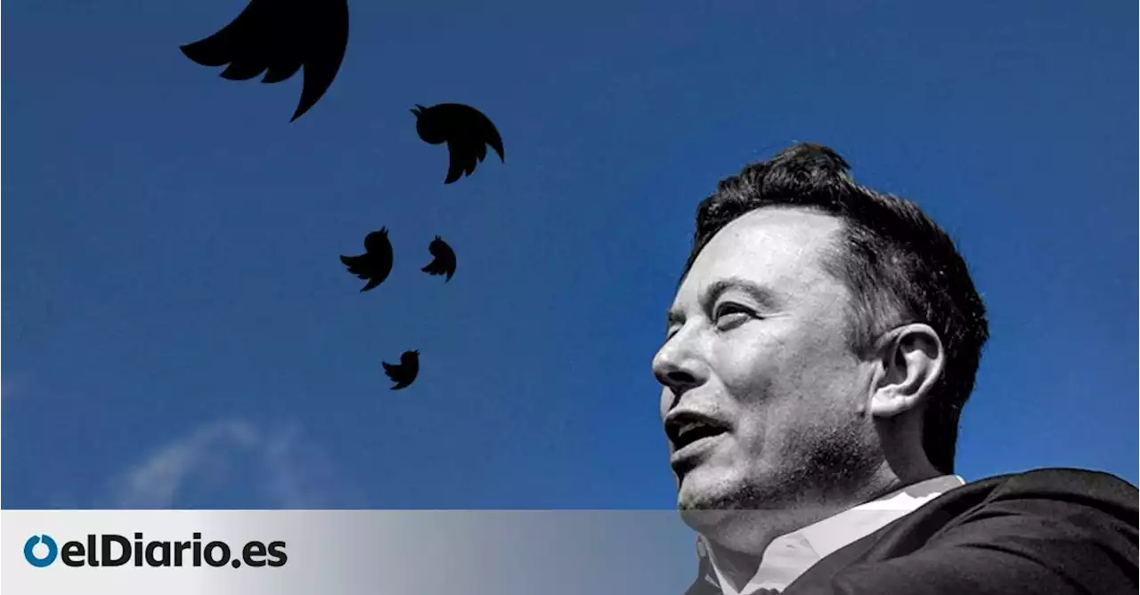 Fallos constantes, toxicidad y caos: la nueva realidad del Twitter de Elon Musk