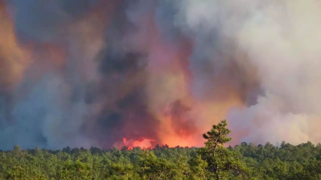 16 New Jersey homes endangered as fire rips through state's southern Pinelands