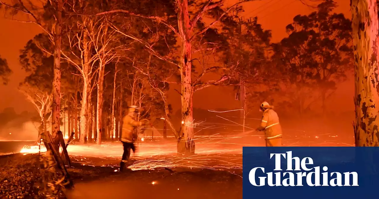 Smoke from Australian bushfires depleted ozone layer by up to 5% in 2020, study finds