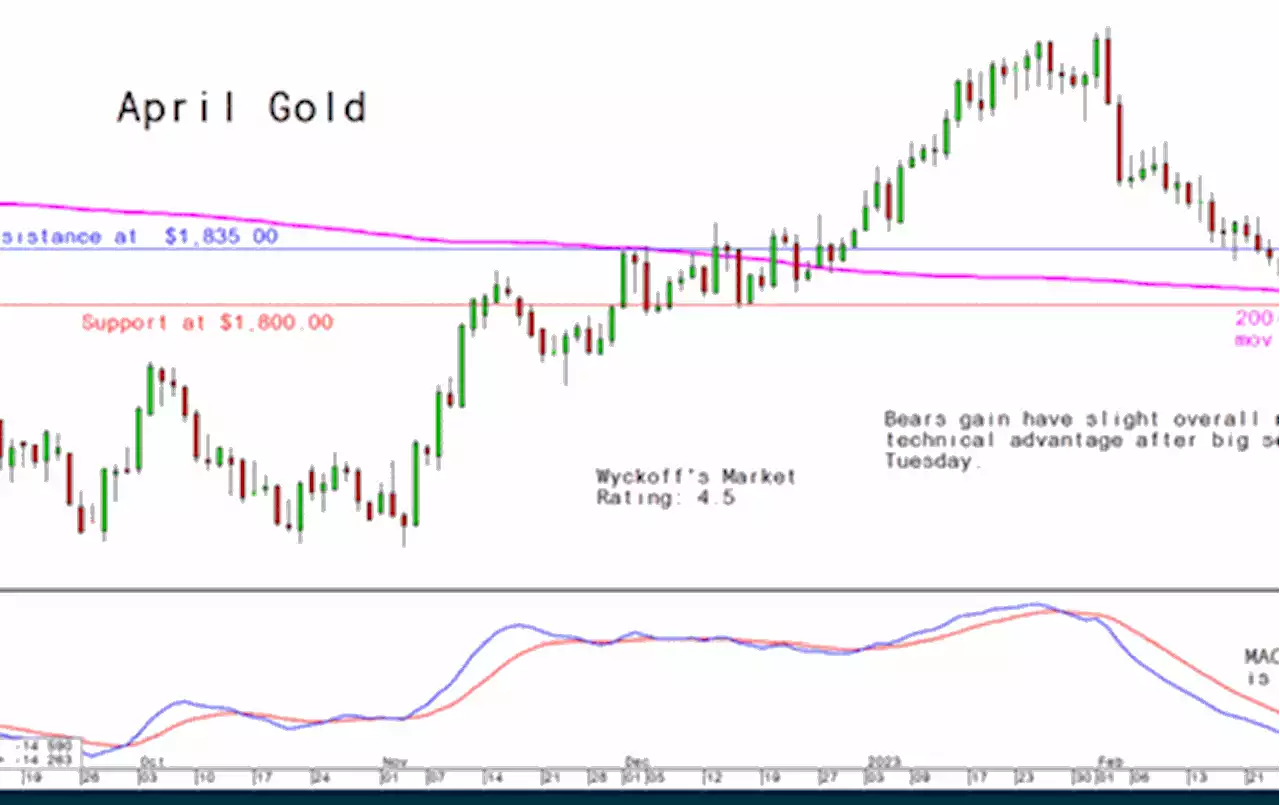 Wednesday's Charts for Gold, Silver and Platinum and Palladium, March 8