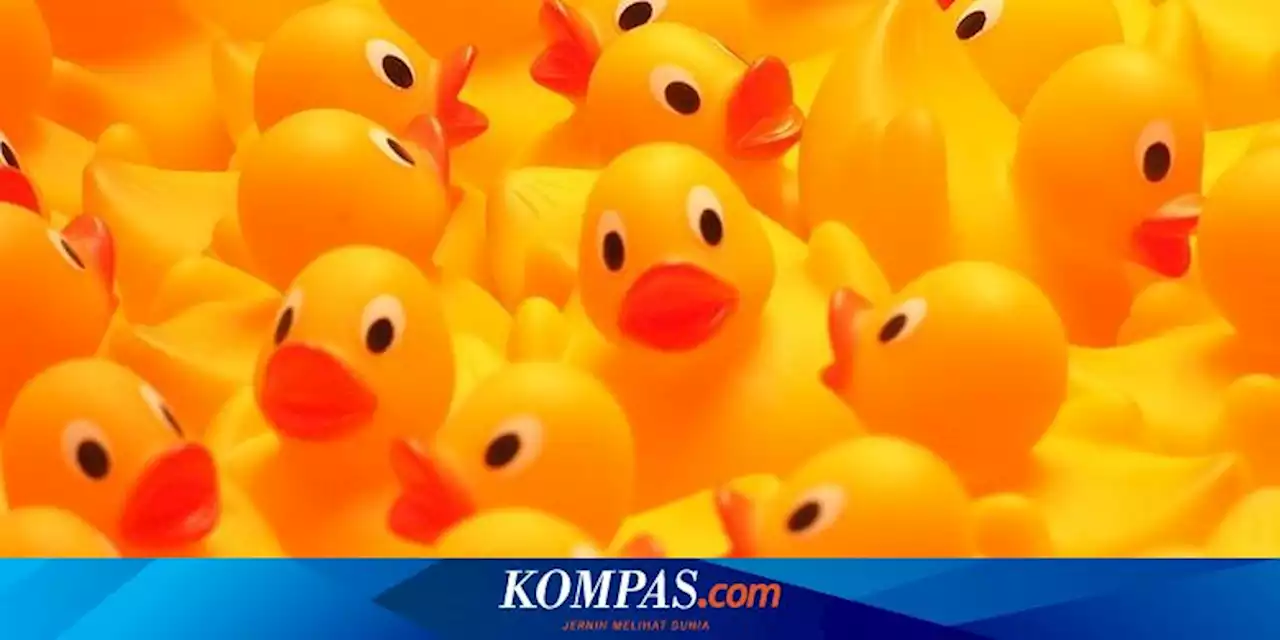 Pria Thailand Dipenjara karena Jual Kalender dengan Foto Bebek Karet Kuning, Dianggap Cemarkan Nama Baik Keluarga Kerajaan