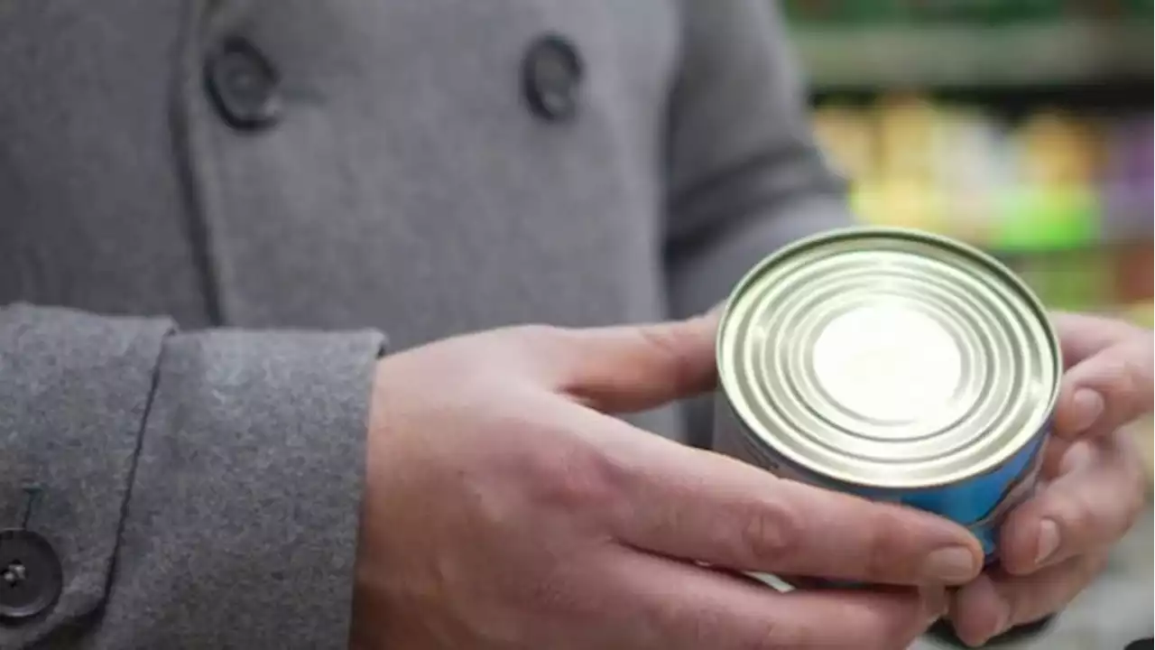 Which types of canned tuna have lowest mercury levels?