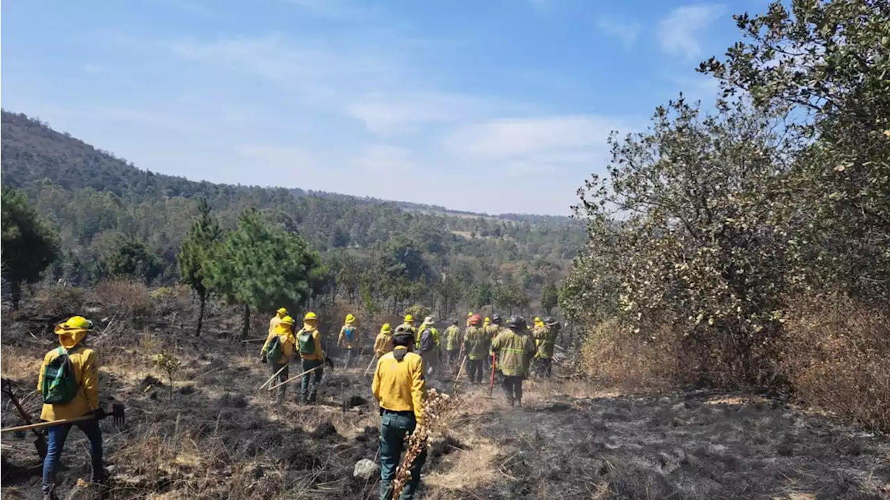 Controlan incendio en el cerro Quezcatepec, en Texcoco