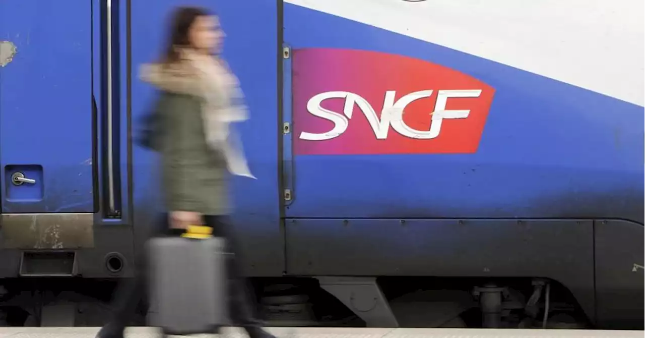 Réforme des retraites : la grève continue à la SNCF, 1 TER sur 3 et 2 TGV Inoui sur 5 en moyenne ce jeudi sur l'axe Sud-Est