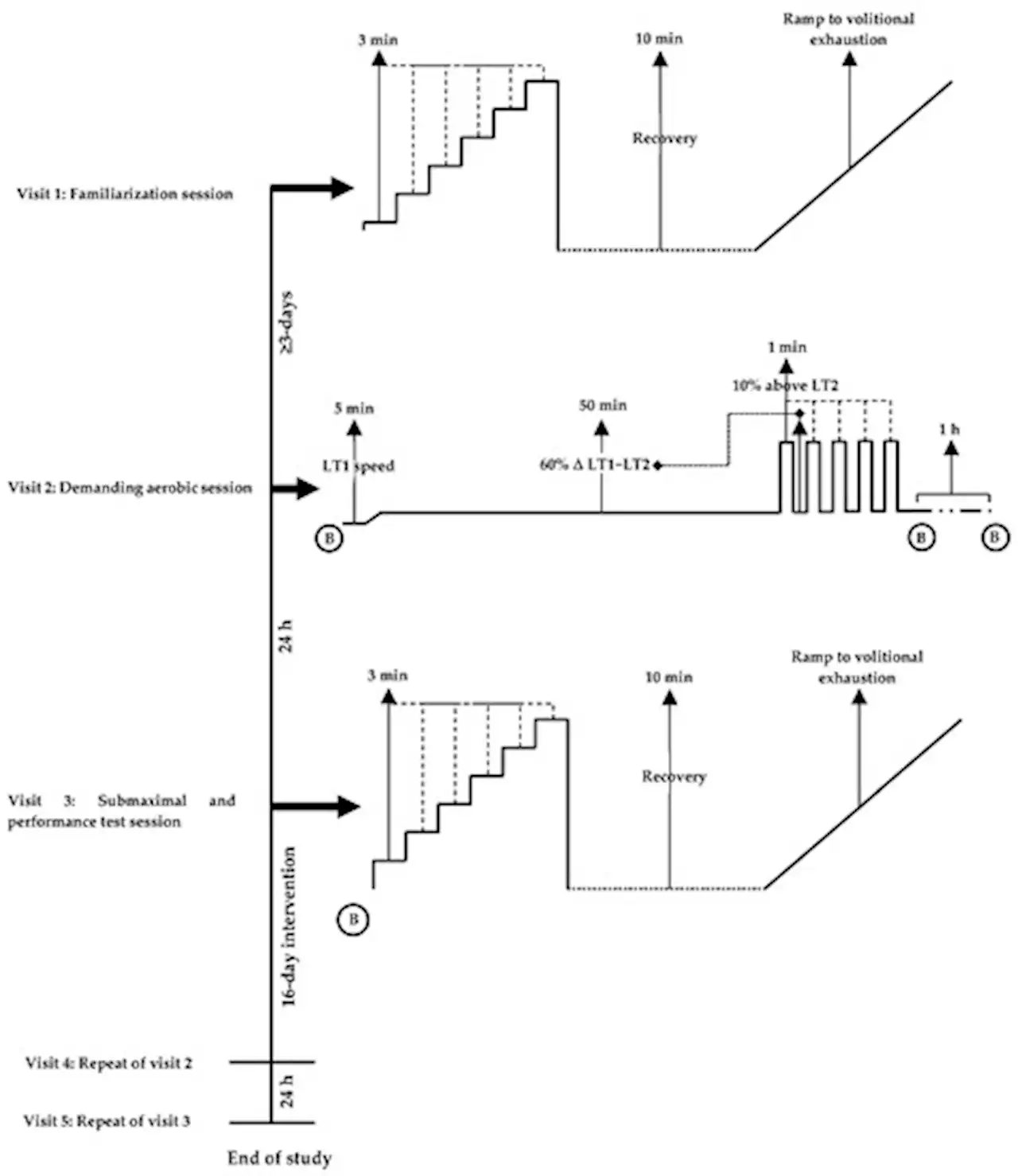 The Effect of a Hydroxytyrosol-Rich, Olive-Derived Phytocomplex on Aerobic Exercise and Acute Recovery