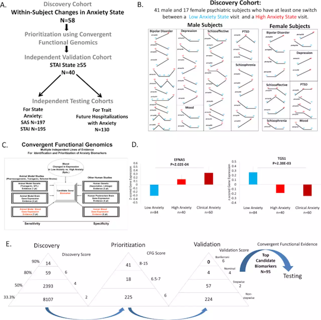 Towards precision medicine for anxiety disorders: objective assessment, risk prediction, pharmacogenomics, and repurposed drugs - Molecular Psychiatry