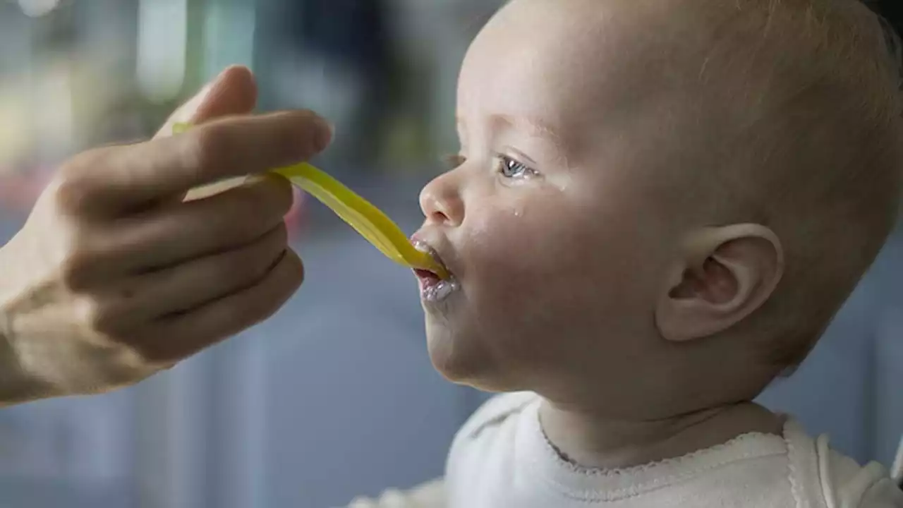 Latin American Complementary Feeding Guidelines Updated