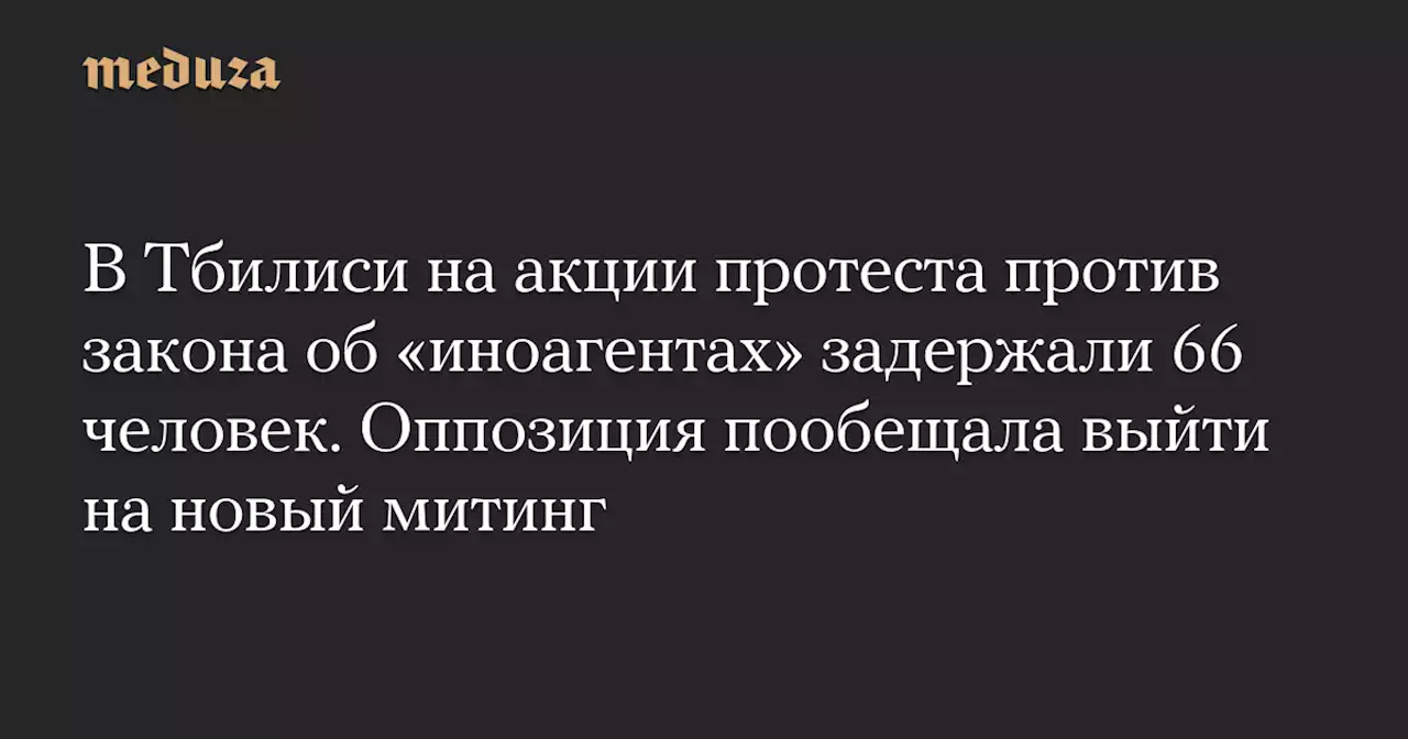 В Тбилиси на акции протеста против закона об «иноагентах» задержали 66 человек. Оппозиция пообещала выйти на новый митинг — Meduza