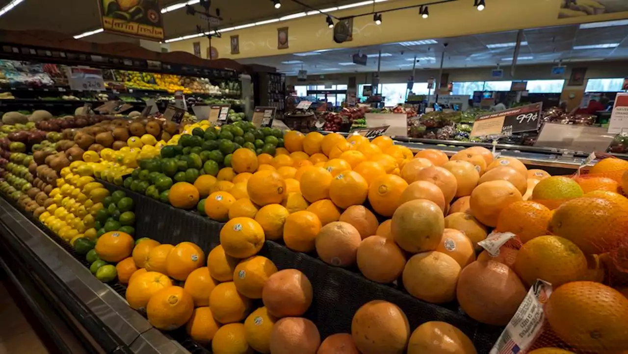 Rappel conso : attention à ces oranges vendues dans les supermarchés, elles contiennent un pesticide interdit