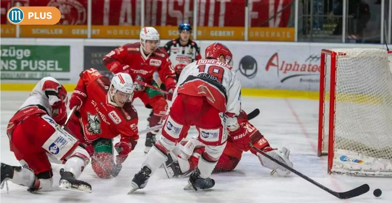 Das Derby gegen Landshut ist ein Zuckerl für die Eisbären Regensburg