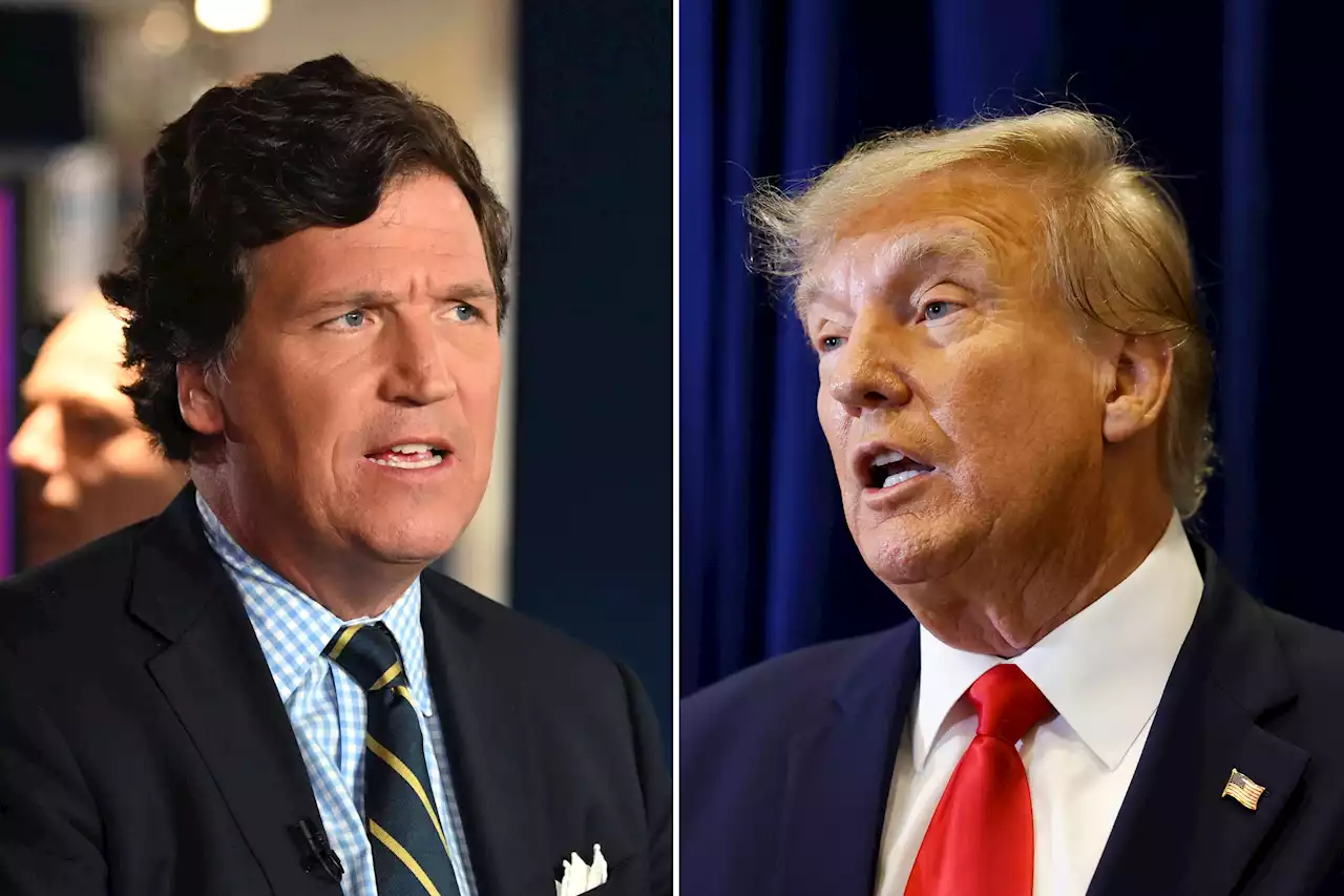 Tucker Carlson's Trump 'hate' revealed amid former president's praise