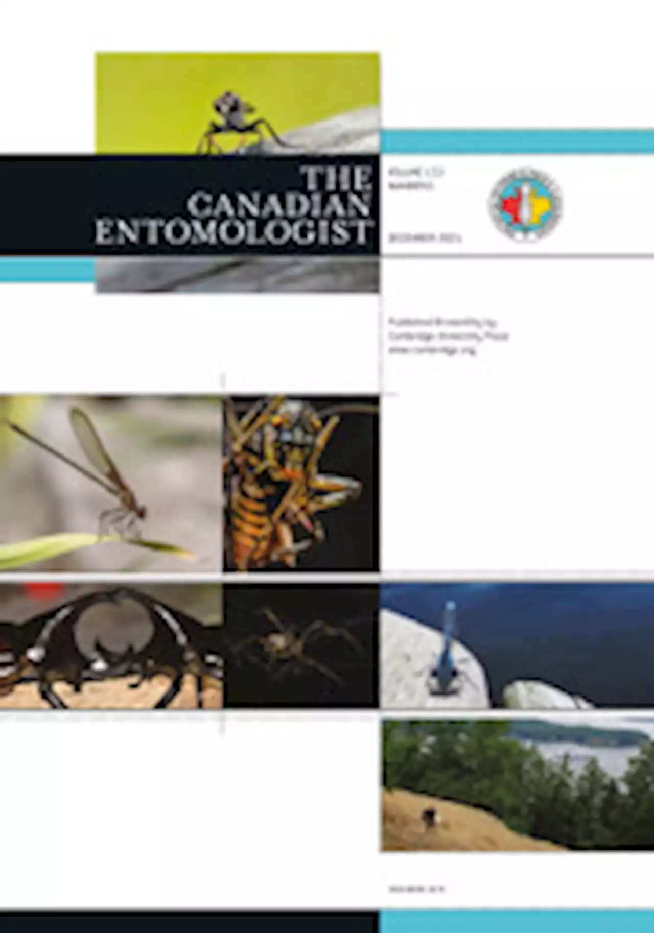 Eocene giant ants, Arctic intercontinental dispersal, and hyperthermals revisited: discovery of fossil Titanomyrma (Hymenoptera: Formicidae: Formiciinae) in the cool uplands of British Columbia, Canada | The Canadian Entomologist | Cambridge Core