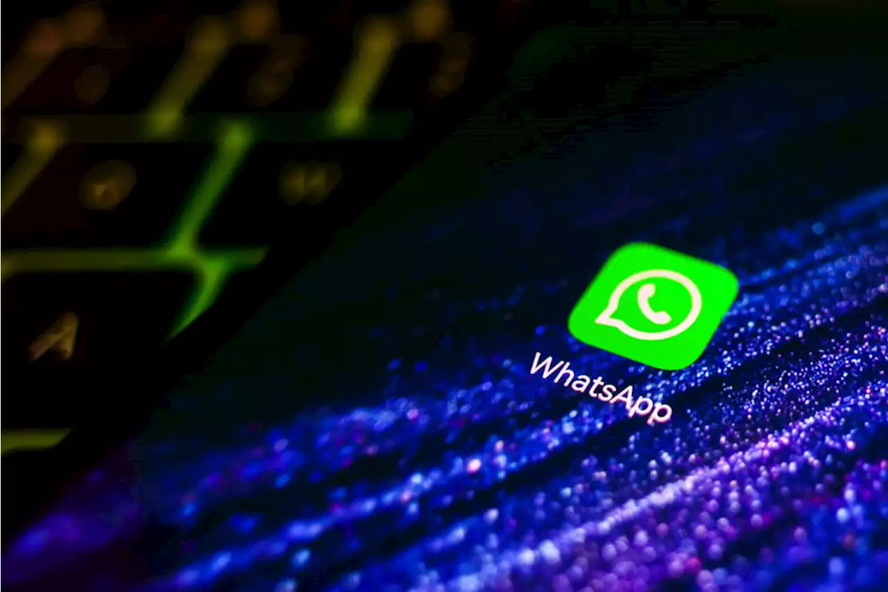 WhatsApp tiene funciones de privacidad para la seguridad de las mujeres, vea cuáles son - Pulzo