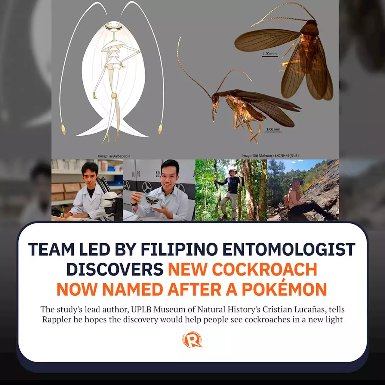 Team led by Filipino entomologist discovers new cockroach now named after a Pokémon