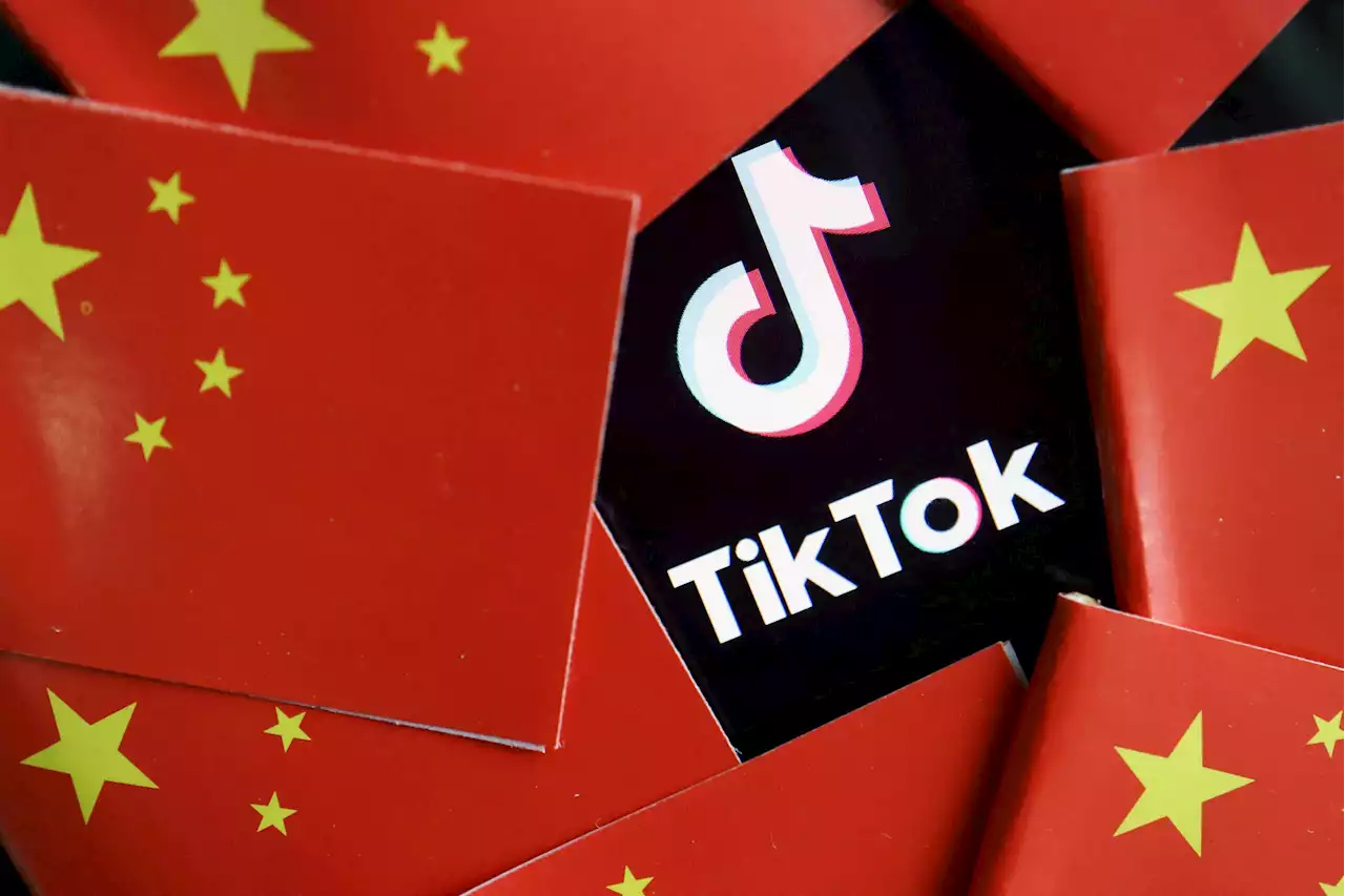 TikTok data collection, influence operations potential draw US NSA concern
