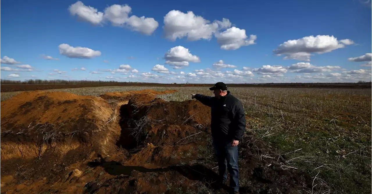 Analysis: Facing minefields and cash crunch, Ukraine farmers to sow smaller crop