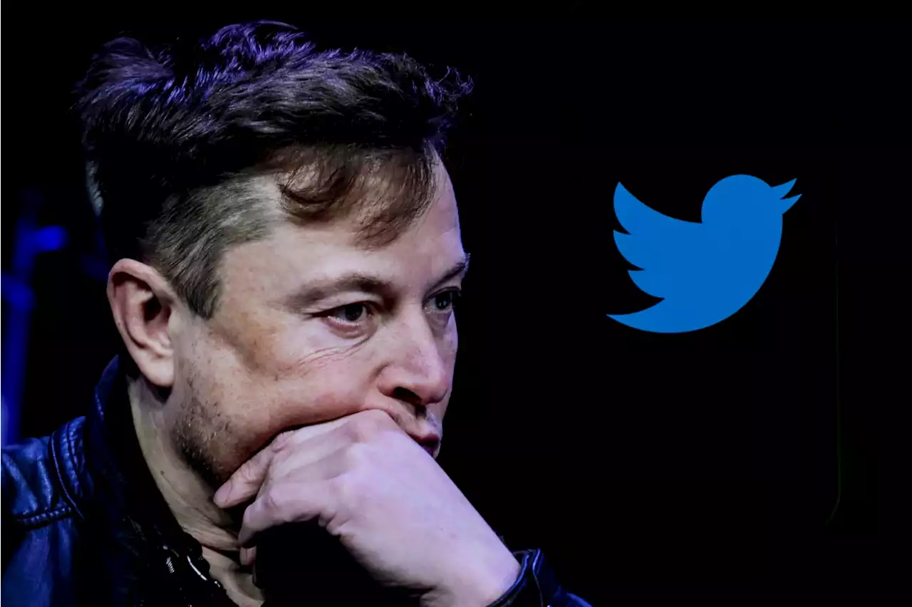 Elon Musk Apologizes for Mocking Disabled Employee