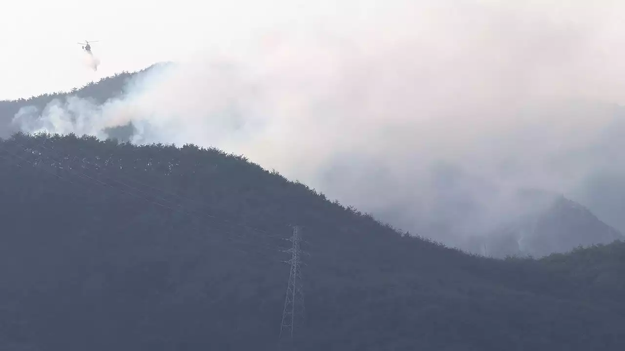 [속보] 산림청, 경남 합천 산불 '대응 3단계'발령