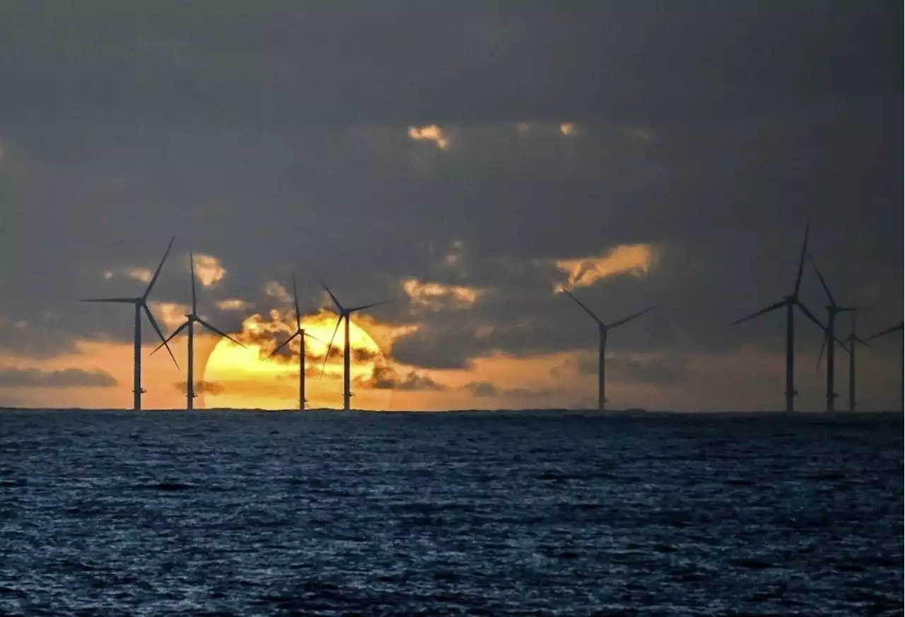 F: Bau schwimmender Windparks begonnen - Schweizer Bauer