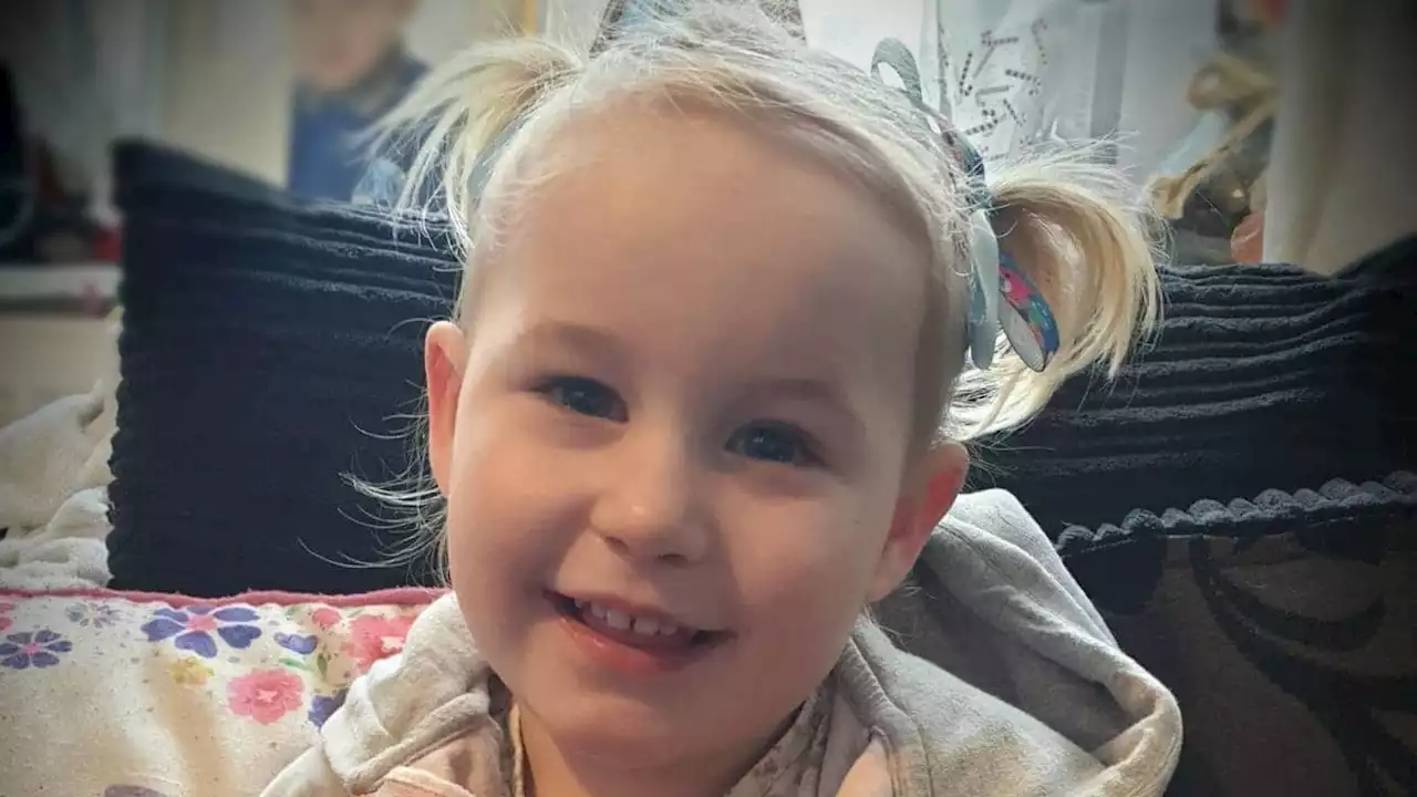 Lola James: Mother's boyfriend denies killing two-year-old girl in 'violent attack', court hears