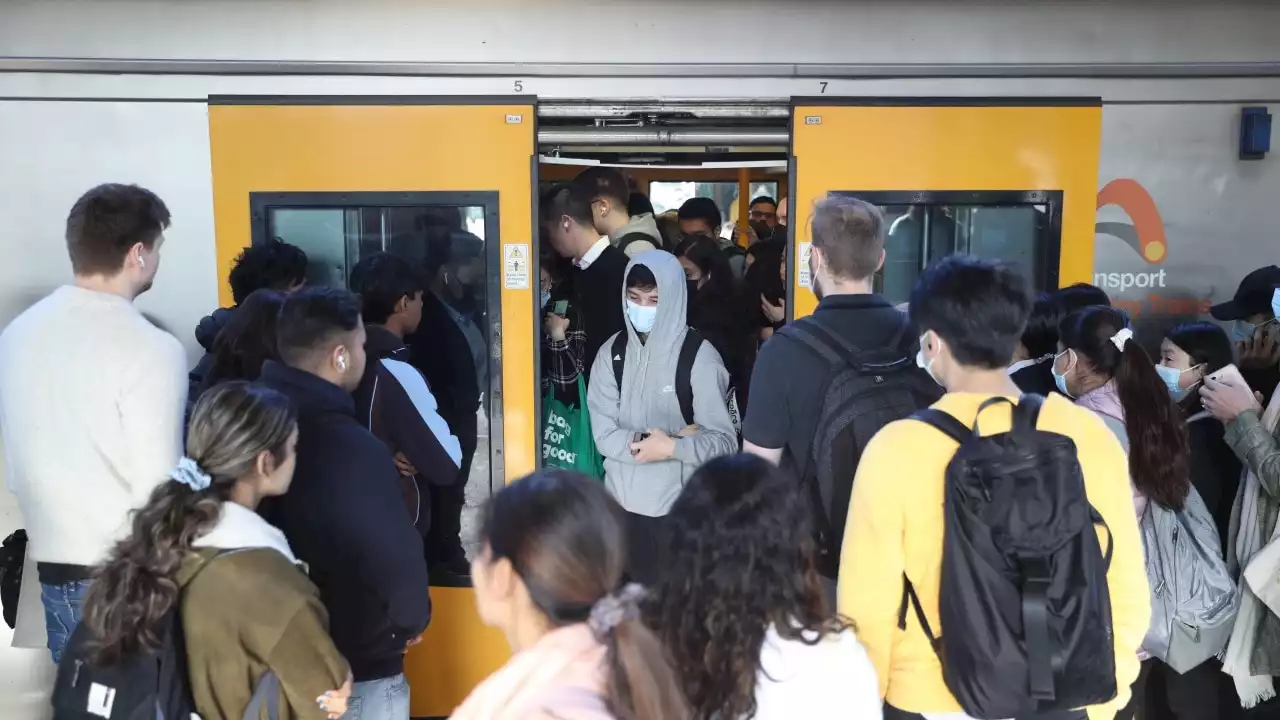 Commuter chaos as network-wide outage halts Sydney train services