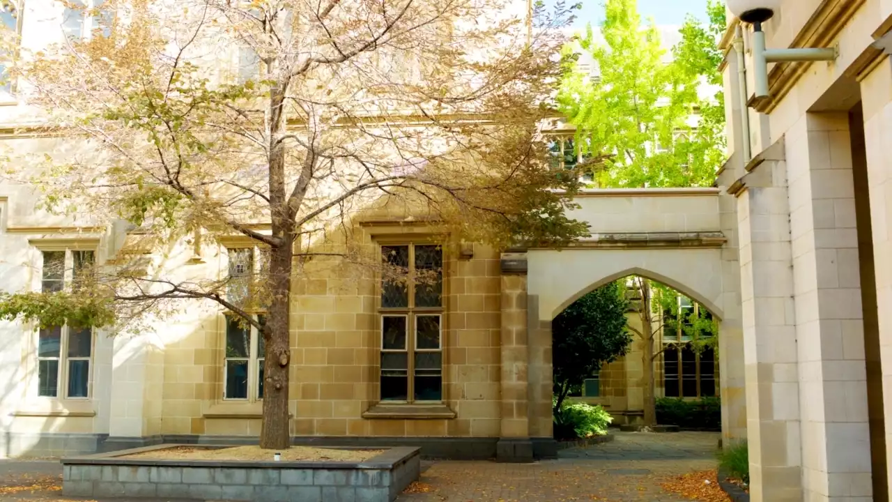 Unis should teach ‘how’ to think, not ‘what’ to think: Melbourne uni urges ‘Yes’ vote to Voice