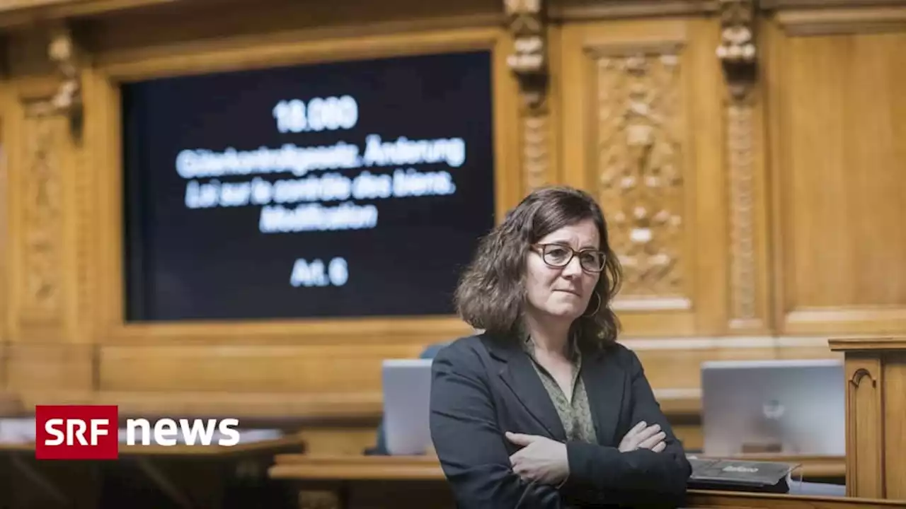 Debatte über Waffenausfuhr - Frau Roth, betreibt der Nationalrat Politik für den Papierkorb?