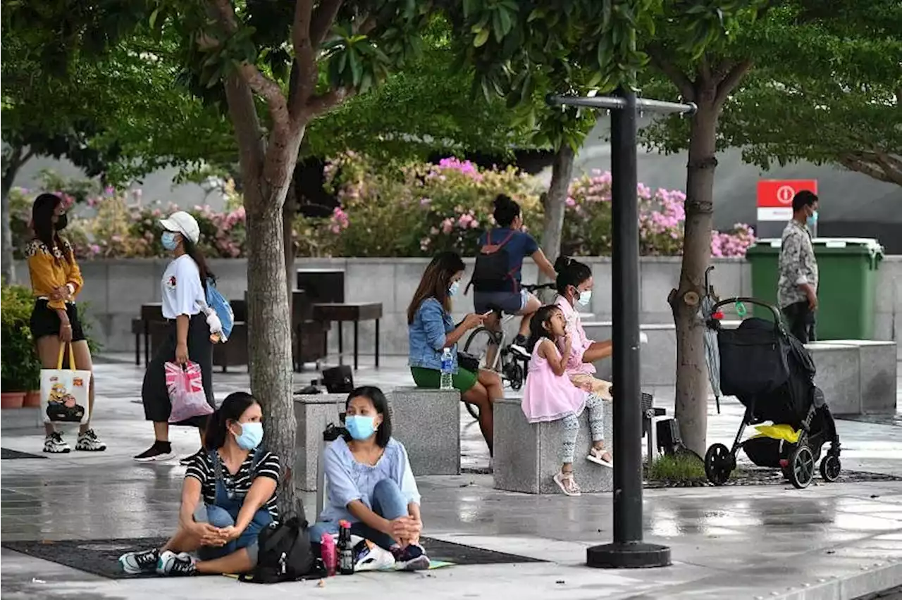 What Singapore did well in handling the Covid-19 pandemic and where there were lapses