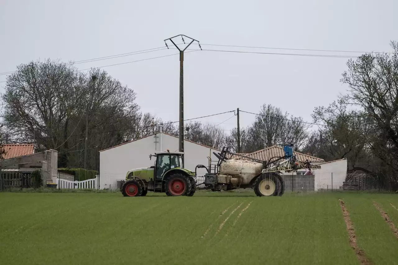 Charente-Maritime : pourquoi a-t-on respiré des engrais la semaine dernière ?