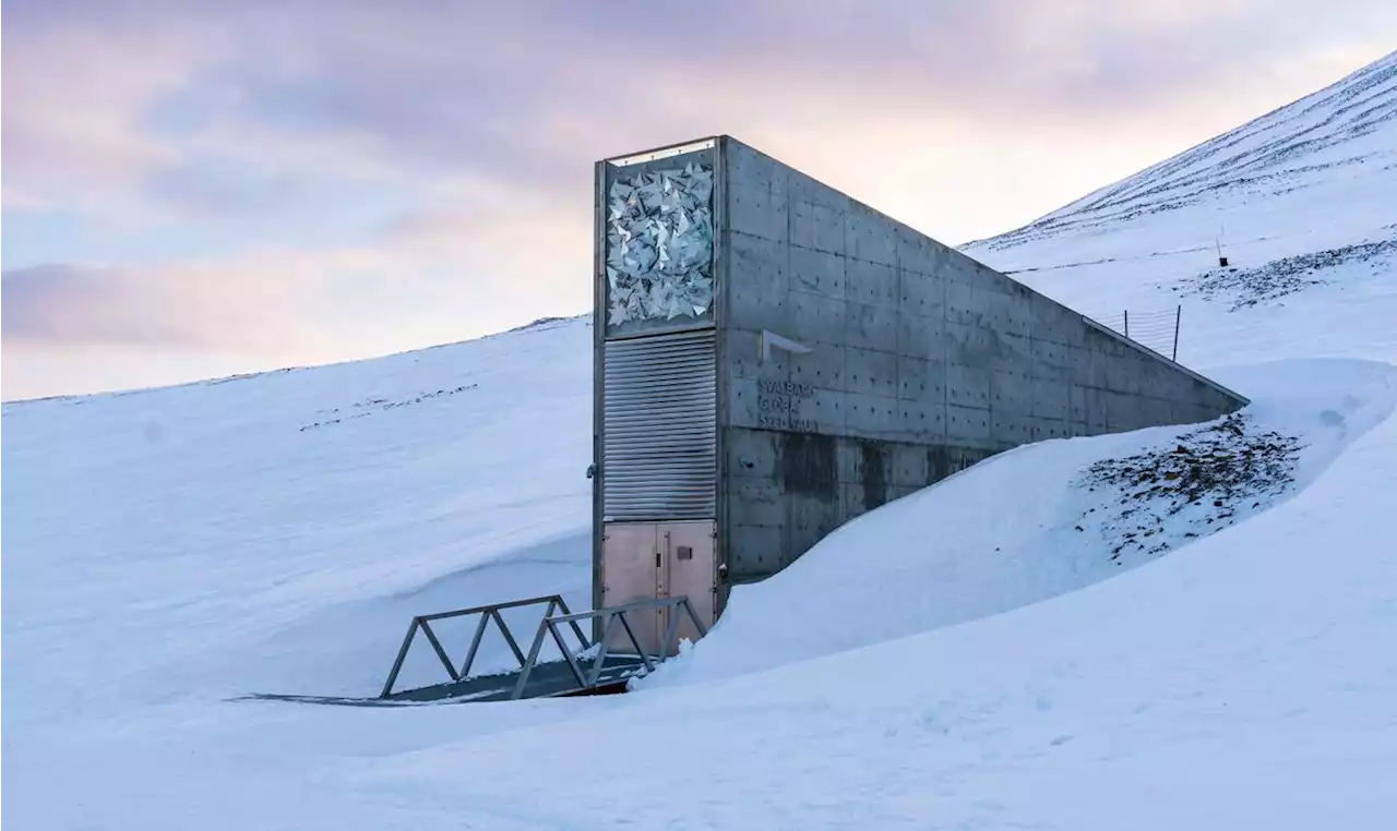 Le mystérieux bunker de graines de Svalbard livre ses secrets dans une visite virtuelle