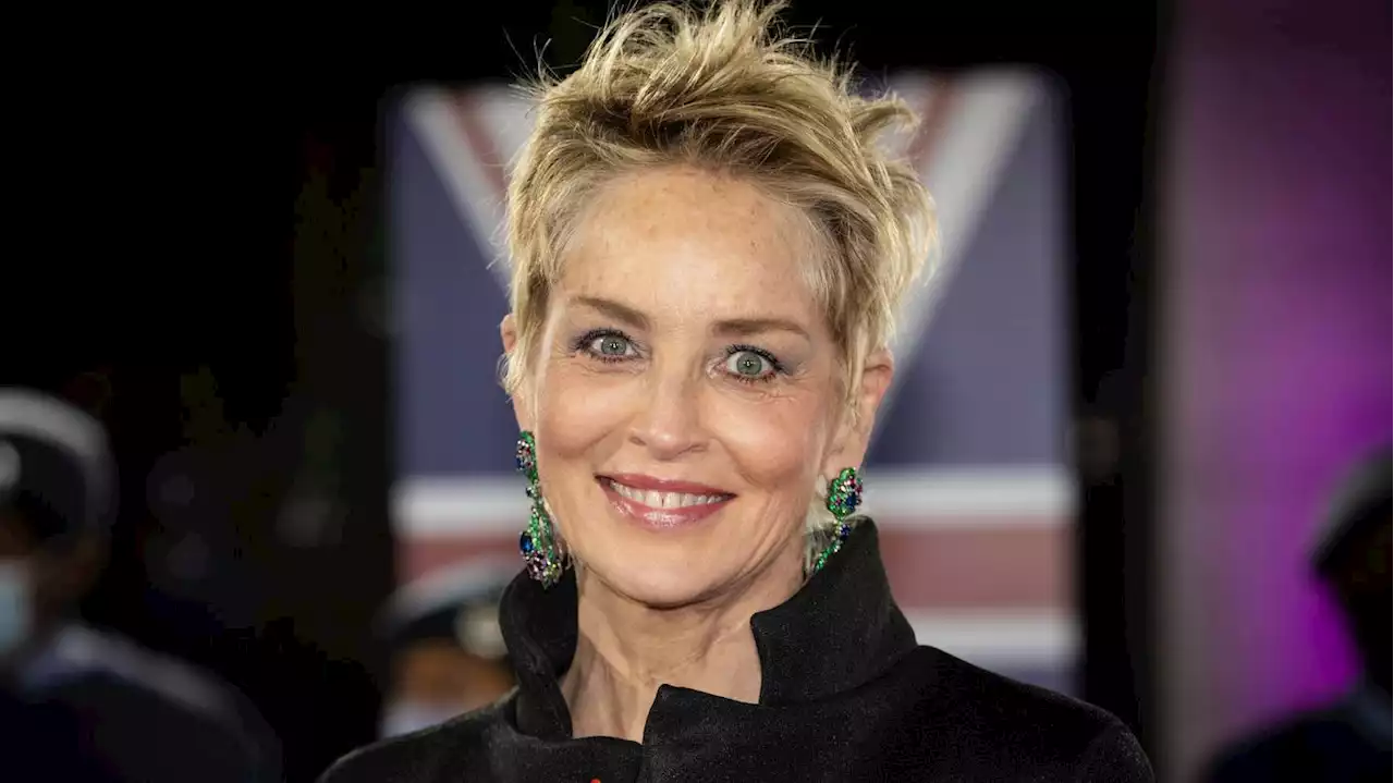 US-Schauspielerin Sharon Stone: „Basic Instinct“-Rolle kostete mich Sorgerecht für meinen Sohn