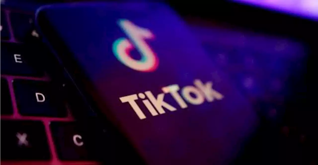 Czech cyber watchdog calls TikTok a ‘security threat’