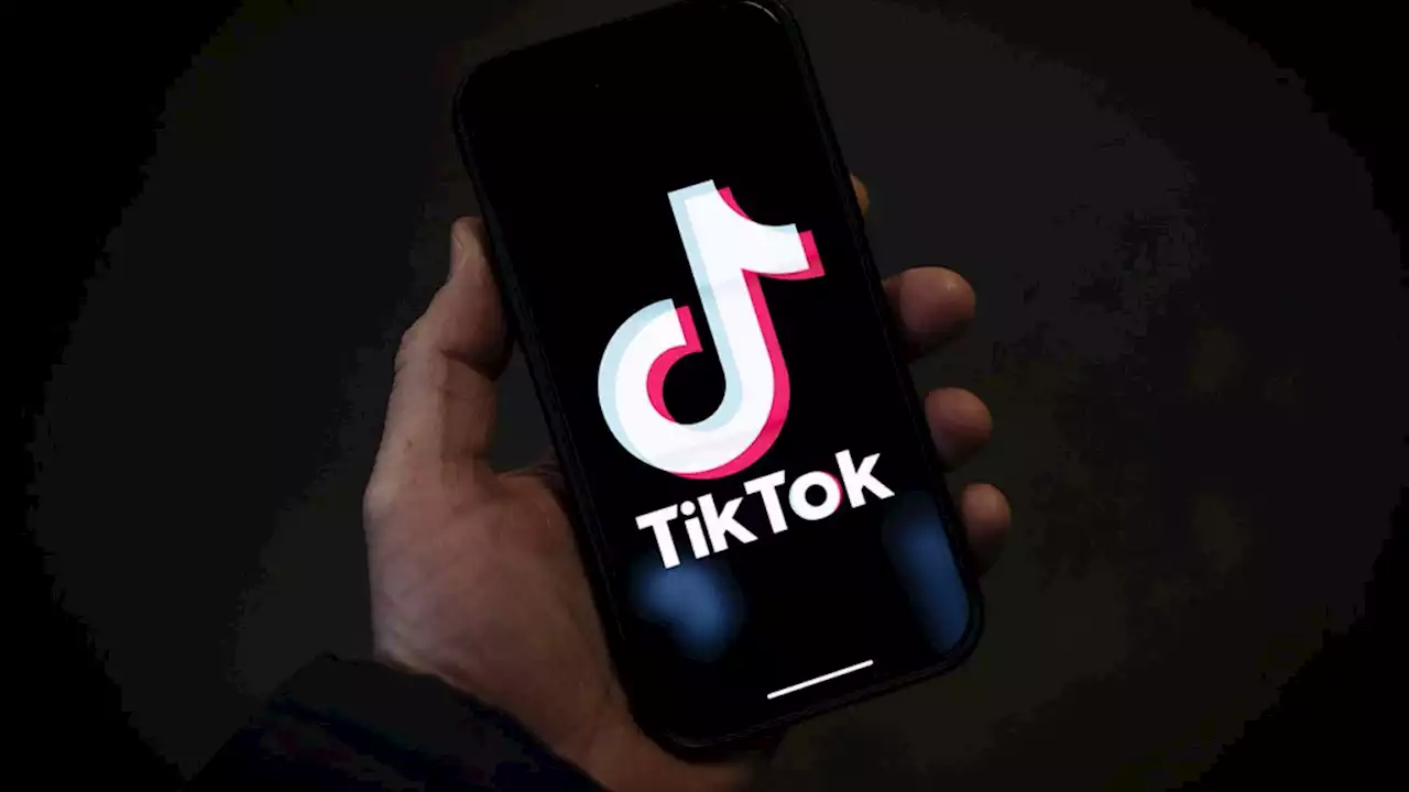 TikTok Under Fire From Bill Backed by White House