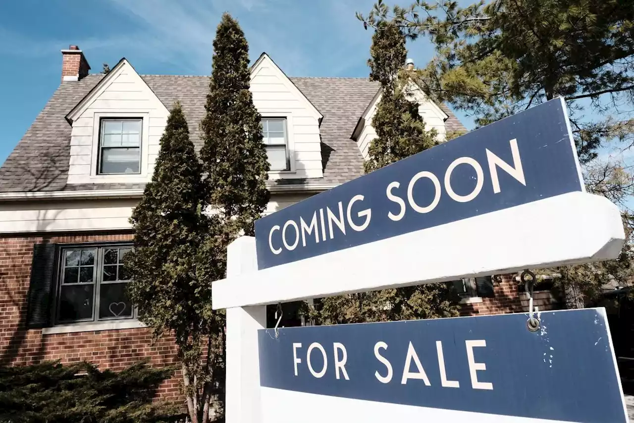 ‘Record-high’ number of Canadians believe they’ll never own a home, new survey finds