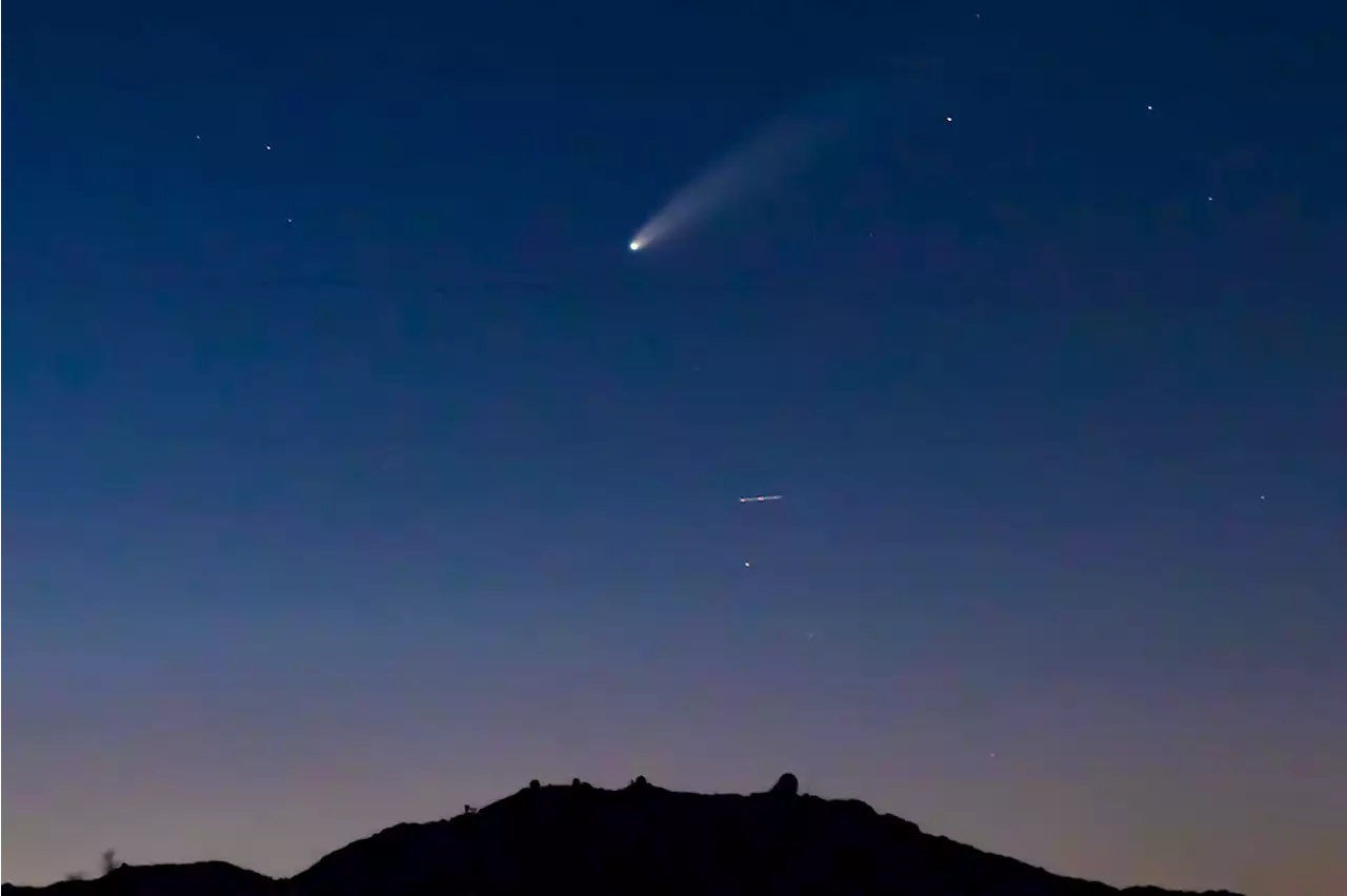 2023 A3 Tsuchinshan-ATLAS: a Bright Comet for the End of 2024?