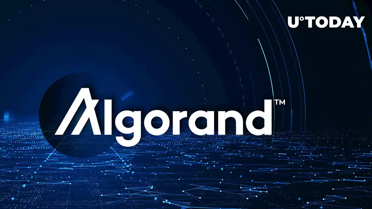 Algorand (ALGO) Foundation Issues Action Statement on Recent Exploit