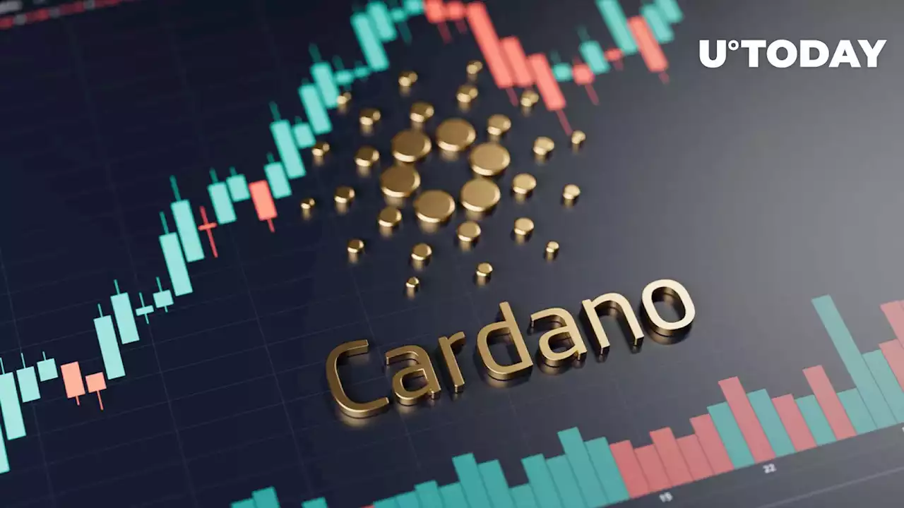 Cardano (ADA) 4-Month Holdings Are on Move, Here's Who's Cashing Out