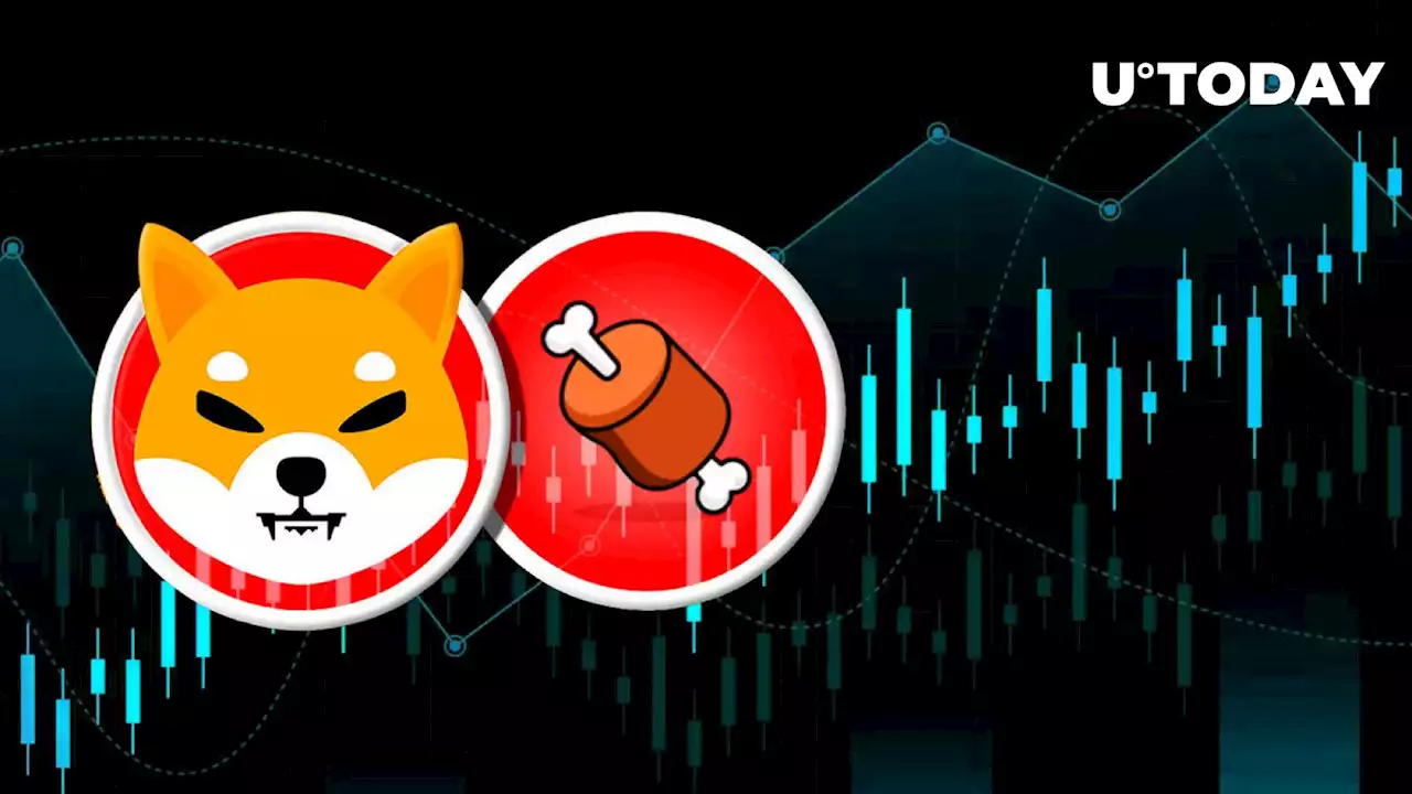 Shiba Inu's BONE up 8% on Latest Shibarium News, Here Are Its Key Targets